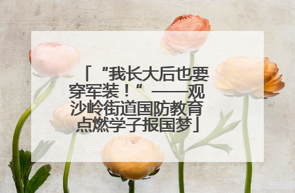 “我长大后也要穿军装！”——观沙岭街道国防教育点燃学子报国梦